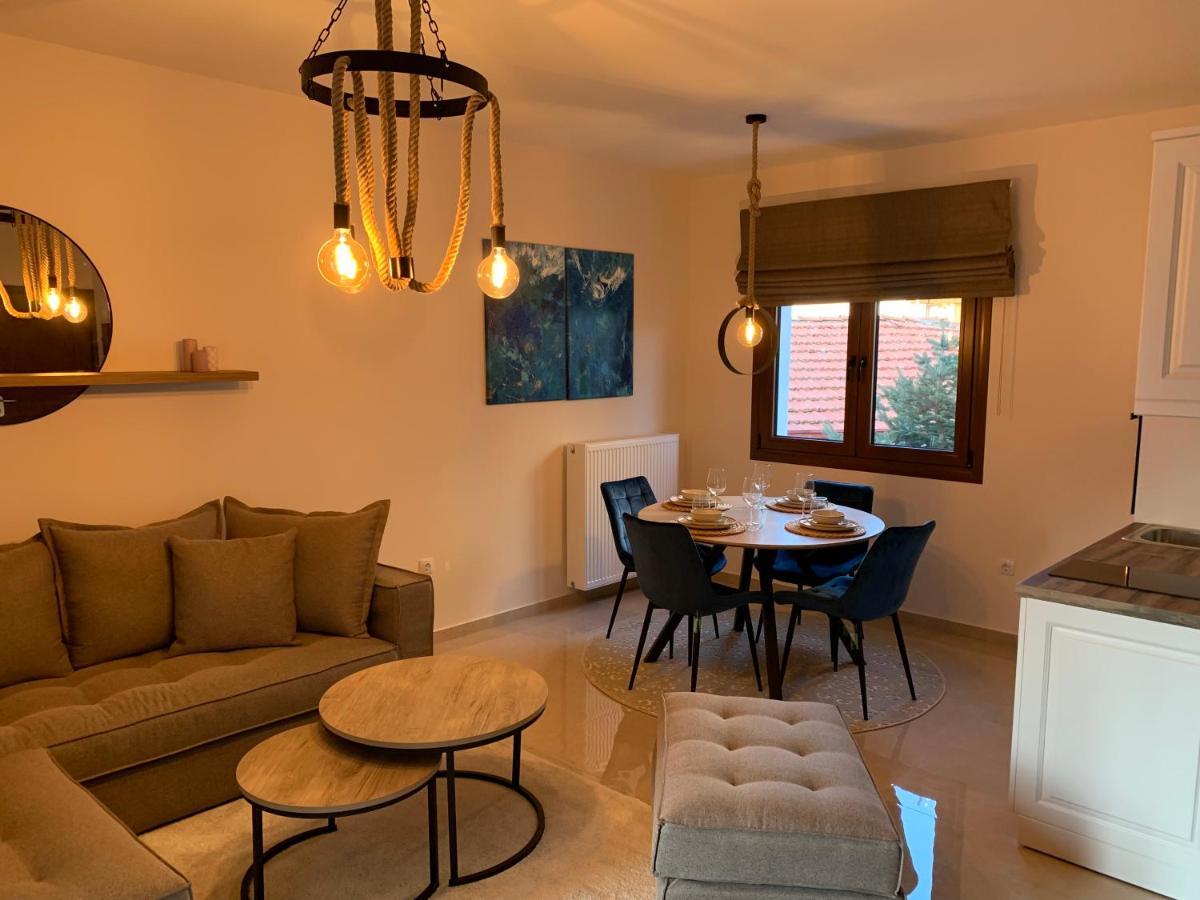 Divine Meteora Luxury Midtown Apartment Калампака Екстериор снимка